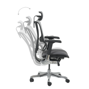 Ергономичен стол ERGOHUMAN IOO ELITE 2 - черна рамка - черен