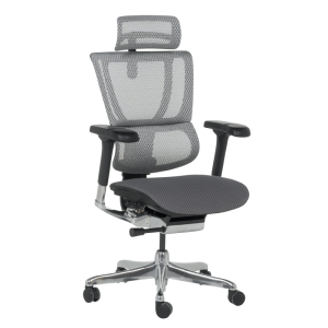 Ергономичен стол ERGOHUMAN IOO ELITE 2 - черна рамка - сив