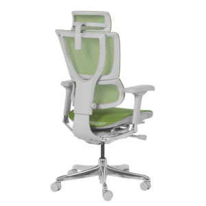 Ергономичен стол ERGOHUMAN IOO ELITE 2 - сива рамка - зелен