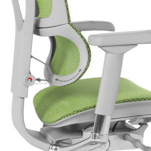 Ергономичен стол ERGOHUMAN IOO ELITE 2 - сива рамка - зелен