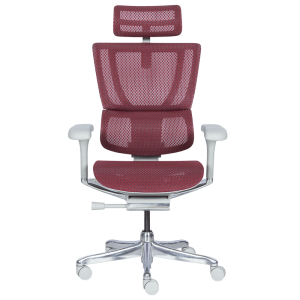 Ергономичен стол ERGOHUMAN IOO ELITE 2 - сива рамка - червен