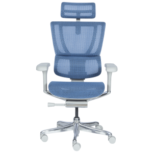 Ергономичен стол ERGOHUMAN IOO ELITE 2 - сива рамка - син