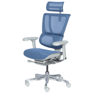 Ергономичен стол ERGOHUMAN IOO ELITE 2 - сива рамка - син