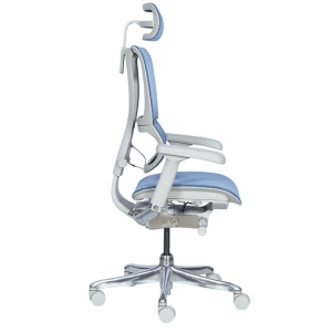 Ергономичен стол ERGOHUMAN IOO ELITE 2 - сива рамка - син