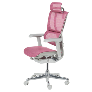 Ергономичен стол ERGOHUMAN IOO ELITE 2 - сива рамка - розов