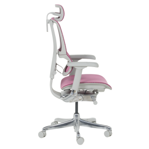 Ергономичен стол ERGOHUMAN IOO ELITE 2 - сива рамка - розов