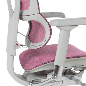 Ергономичен стол ERGOHUMAN IOO ELITE 2 - сива рамка - розов