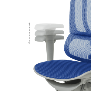 Ергономичен стол ERGOHUMAN IOO ULTRA - сива рамка - син