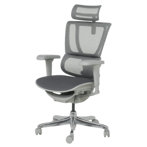 Ергономичен стол ERGOHUMAN IOO ULTRA - сива рамка - сив