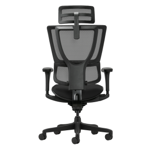 Ергономичен стол ERGOHUMAN IOO BUDGET 2 - черна рамка - черен