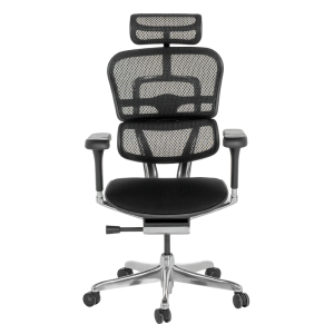 Ергономичен стол ERGOHUMAN ELITE 2 - черна рамка - черен