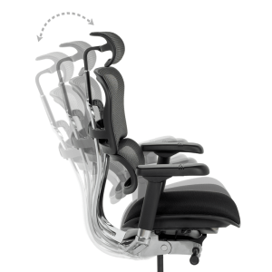 Ергономичен стол ERGOHUMAN ELITE 2 - черна рамка - черен