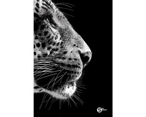 Тетрадка A5 S line ШР БГ твърди корици