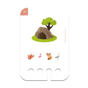 Образователни карти, за кутия Puncho - Къде живеят животните, над 4 години