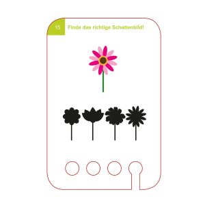 Образователни карти, за кутия Puncho - Открий сенките, над 3 години