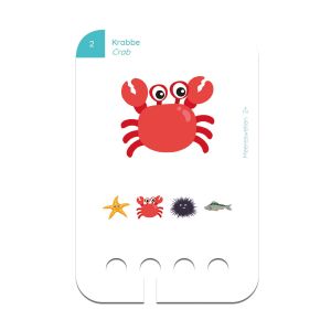 Образователни карти, за кутия Puncho - Морски свят, над 2 години