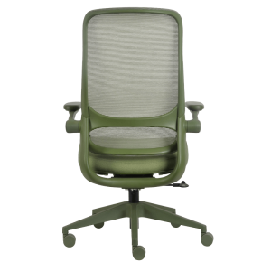 Ергономичен стол BAKU - зелен