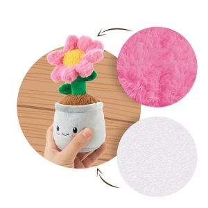 Плюшено цвете в саксия Trendhaus