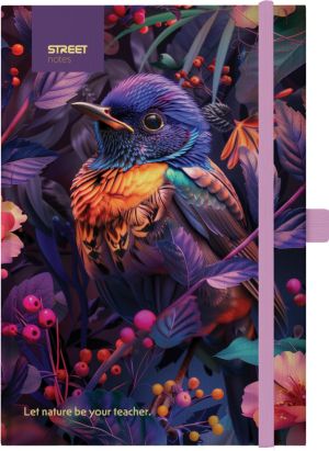 Бележник с ластик B5 Street, твърда корица, 96 листа, Bird