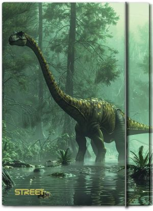 Папка с ластик Street Dino A4, 1 cm