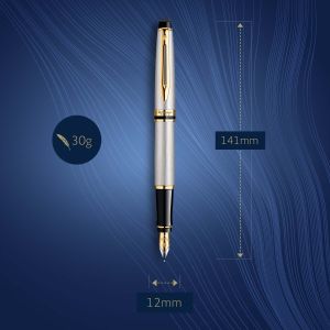 Писалка Waterman Expert Stainless Steel GT