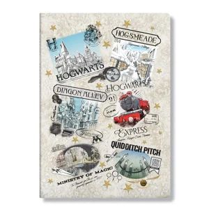 Paperblanks Тетрадка The Wizarding World, A4, широки редове, 40 листа