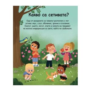 Енциклопедия за най-малките - Петте сетива