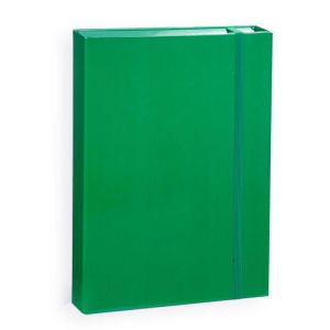 Папка кутия с ластик Dinel, Зелен