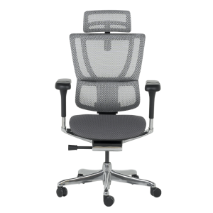 Ергономичен стол ERGOHUMAN IOO ELITE 2 - сив