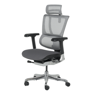 Ергономичен стол ERGOHUMAN IOO ELITE 2 - сив