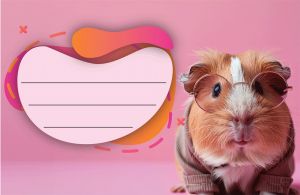Етикети за тетрадка Street Animals Cute, опаковка 10 бр.