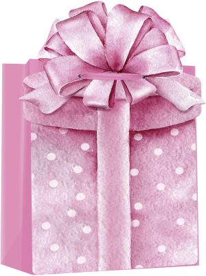 Подаръчна торбичка Deluxe Medium HB, 18x10x23 cm