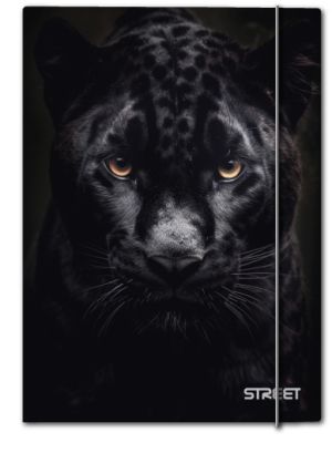 Папка с ластик Street Africa A4, 1 cm