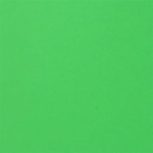 Fabriano Картон Colore, 50 x 70 cm, 200 g/m2, № 230, тревистозелен