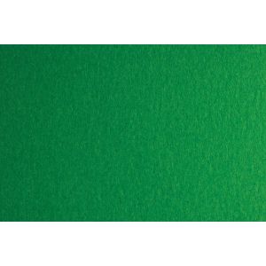 Fabriano Картон Colore, 70 x 100 cm, 200 g/m2, № 231, зелен