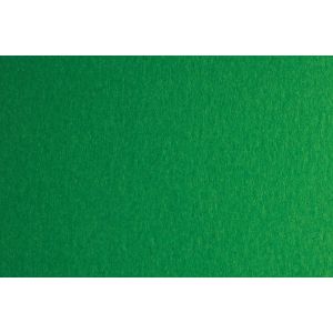 Fabriano Картон Colore, 50 x 70 cm, 200 g/m2, № 231, зелен