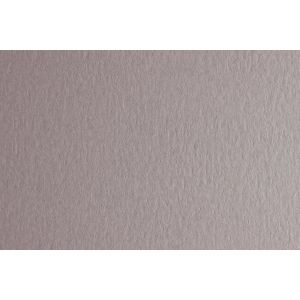 Fabriano Картон Colore, 70 x 100 cm, 140 g/m2, № 222, светлосив