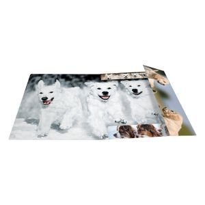 Herma Папка Animals, картонена, с ластик, A4, кучета