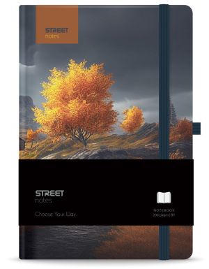 Бележник с ластик B5 Street, твърда корица, 96 листа, SERENITY