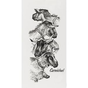 Faber-Castell Тънкописец Pitt Artist Pen, № 199, черен, 4 броя