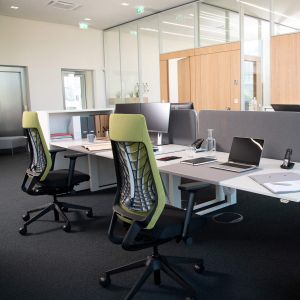 Eргономичен стол Interstuhl Joyce JC267, дамаска и меш, Synchronous механизъм, до 120 kg, светлосив/зелен