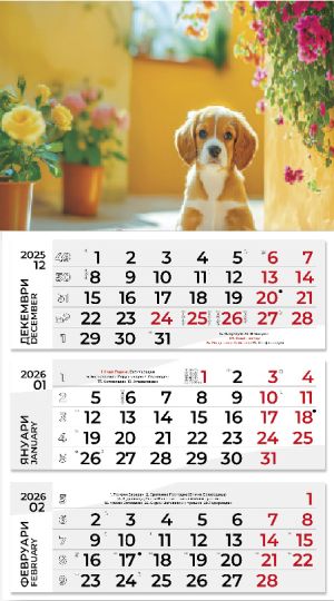 Стенен работен календар РК 313 с цветна глава, асорти