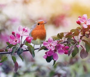 Стенен работен календар РК Мини с цветна глава,асорти