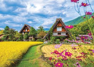 Стенен работен календар РКМ Практик с цветна глава,асорти