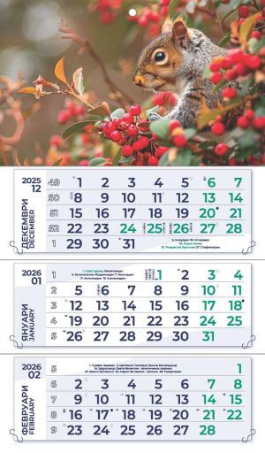 Стенен работен календар РК 313, 3 секции, син/зелен