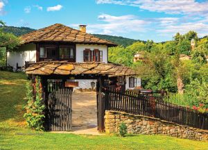 Стенен работен календар РК 103 с цветна глава, асорти