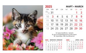 Настолна пирамидка ПП, 12-листова, 16х10 cm, котета