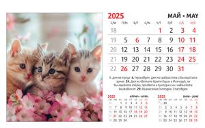 Настолна пирамидка ПП, 12-листова, 16х10 cm, котета