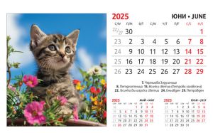 Настолна пирамидка ПП, 12-листова, 16х10 cm, котета