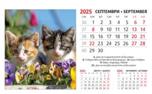 Настолна пирамидка ПП, 12-листова, 16х10 cm, котета